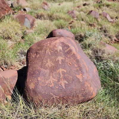 Galharra Year 4 - rock art